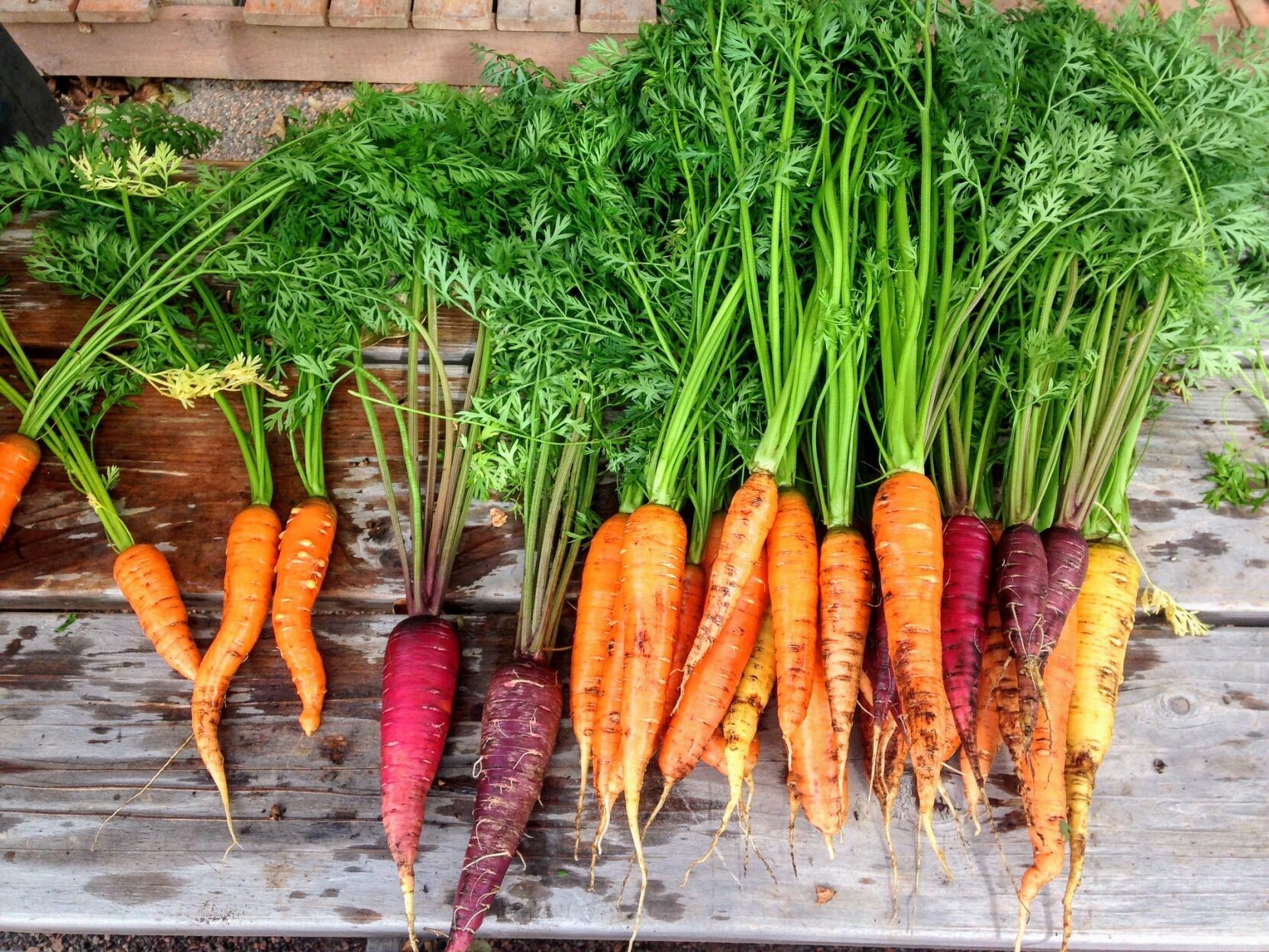 Beets and carrots